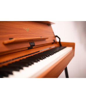 Pianino cyfrowe Black Hawk Versoni V10NB