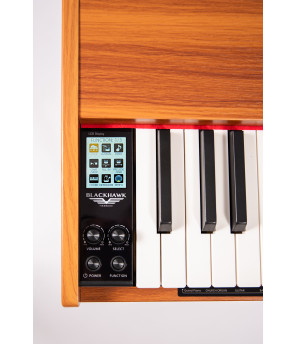 Pianino cyfrowe Black Hawk Versoni V10NB